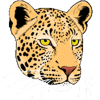 Leopardo iliustracija